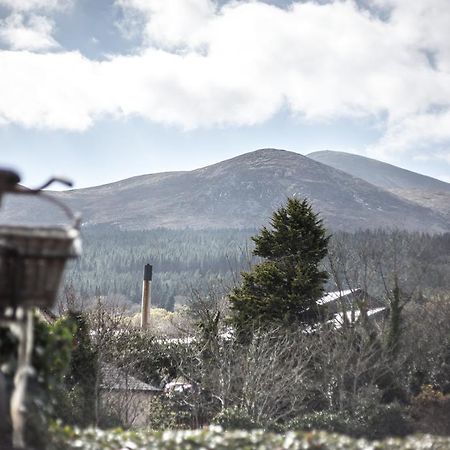 Отель The Haven Ньюкасл Экстерьер фото